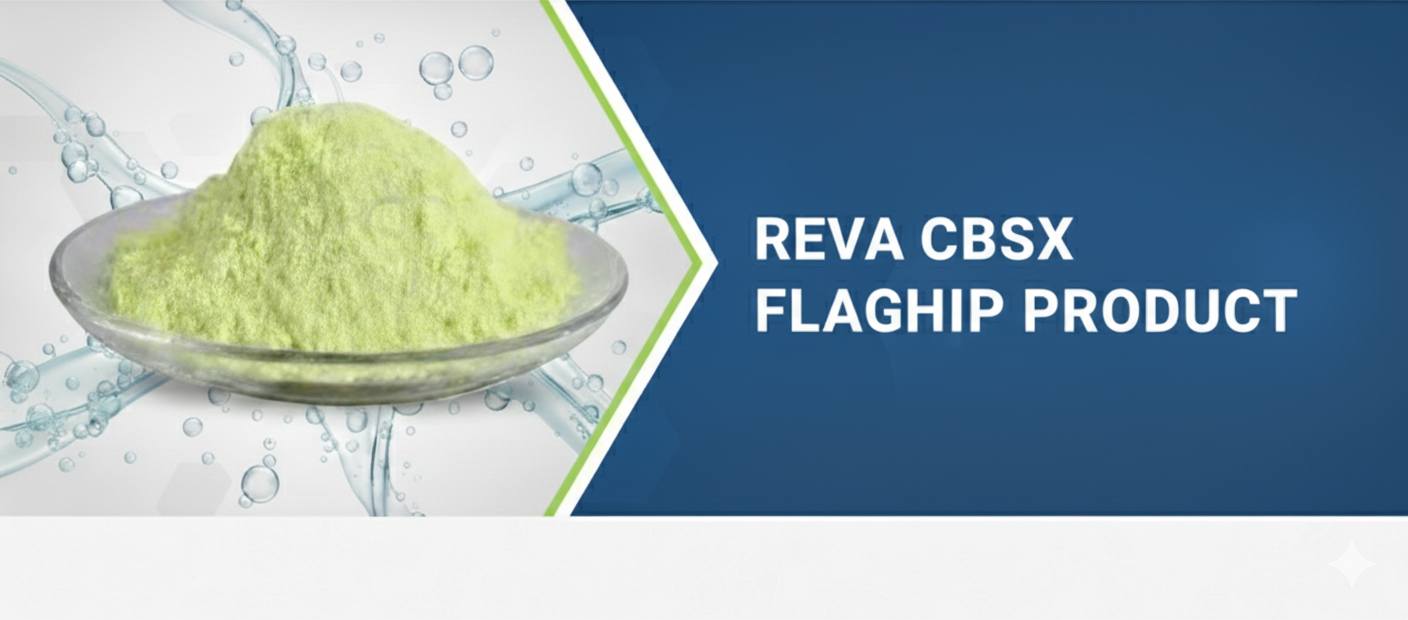 Gemini_Generated_Image_31tzv731tzv731tz